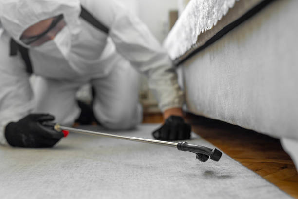 Professional Cockroach Control technician working in Ashwaubenon, WI