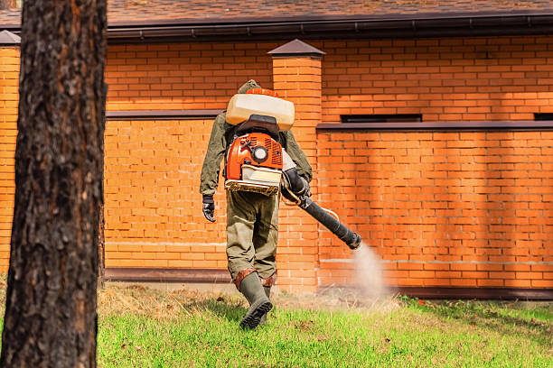 Trusted Rodent Control service in Ashwaubenon, WI - Nex Pest Control